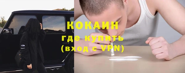 стаф Богородицк