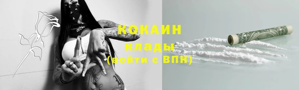 стаф Богородицк