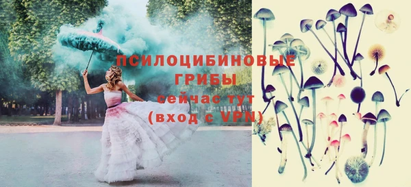 стаф Богородицк