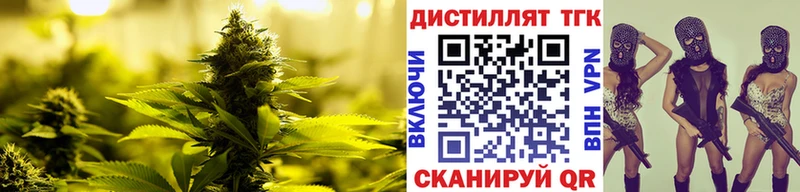 Купить закладки  Горно-Алтайск  ТГК жижа 