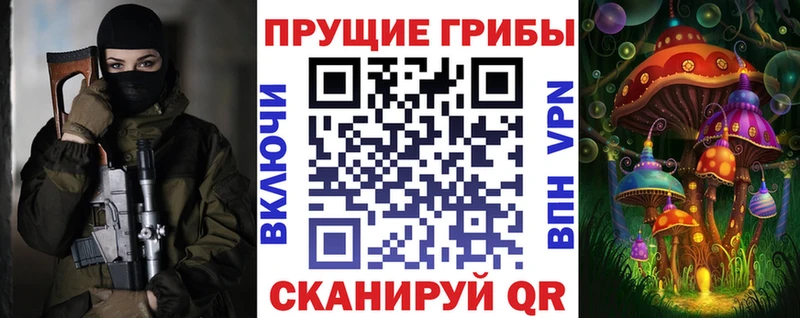 Купить закладки Горно-Алтайск Галлюциногенные грибы Psilocybine cubensis